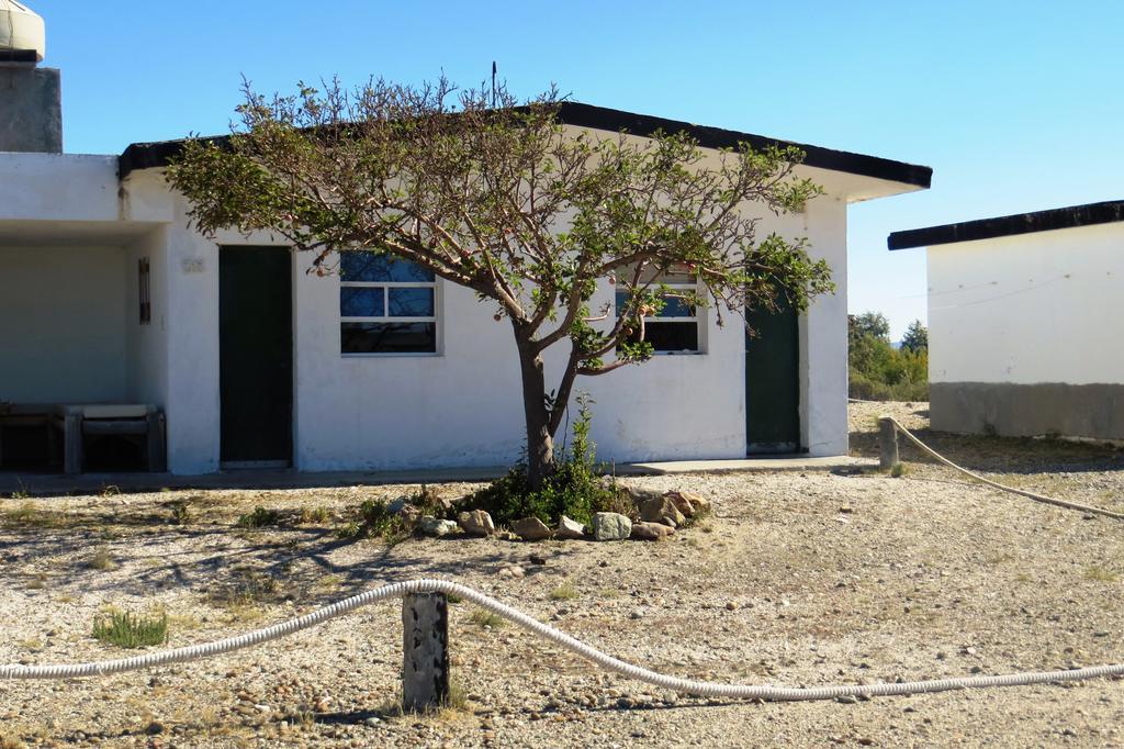Bahia Bustamante Lodge Δωμάτιο φωτογραφία