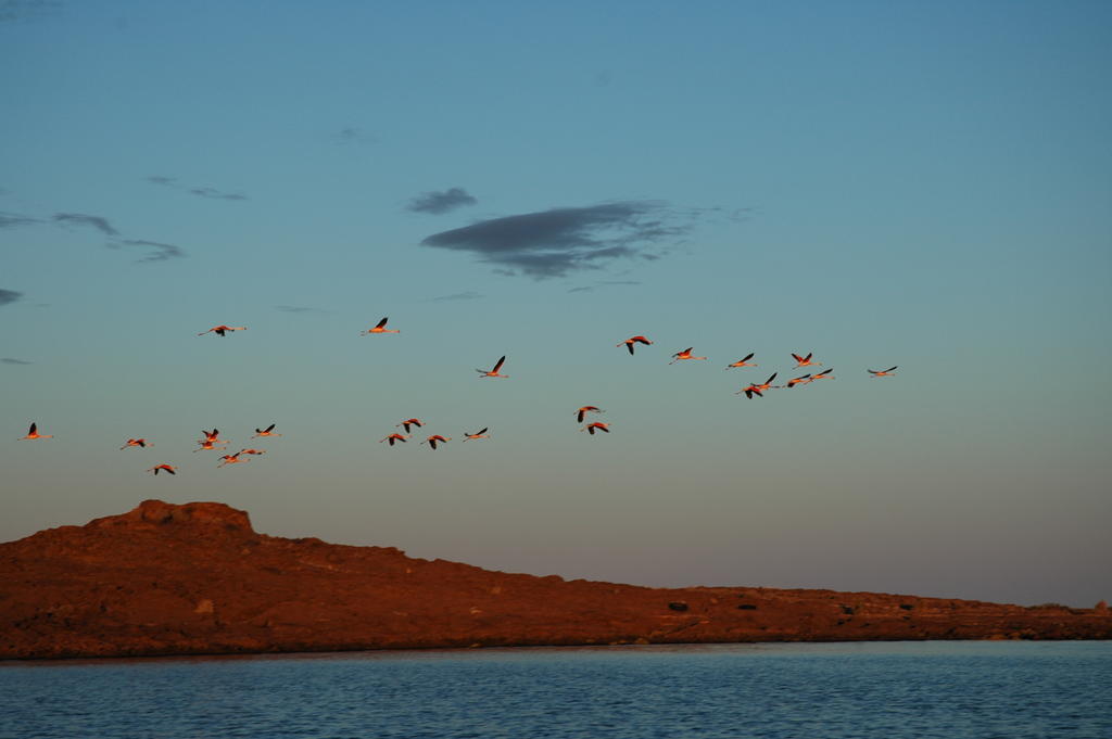 Bahia Bustamante Lodge Εξωτερικό φωτογραφία