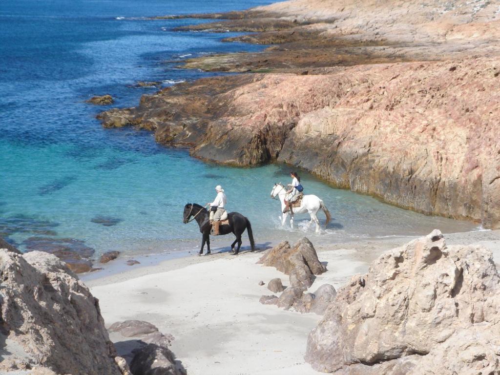 Bahia Bustamante Lodge Εξωτερικό φωτογραφία