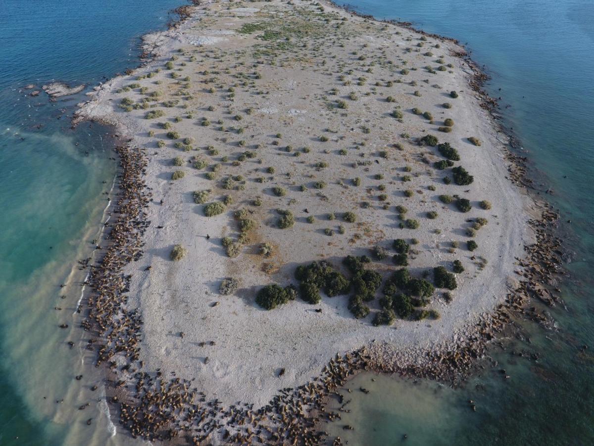Bahia Bustamante Lodge Εξωτερικό φωτογραφία